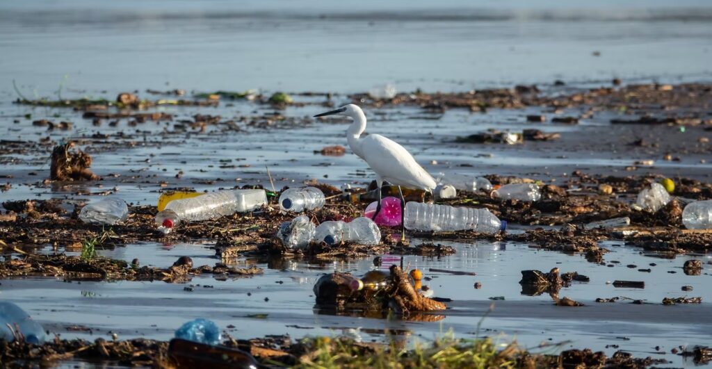 Requisitos Legais na Área Ambiental
