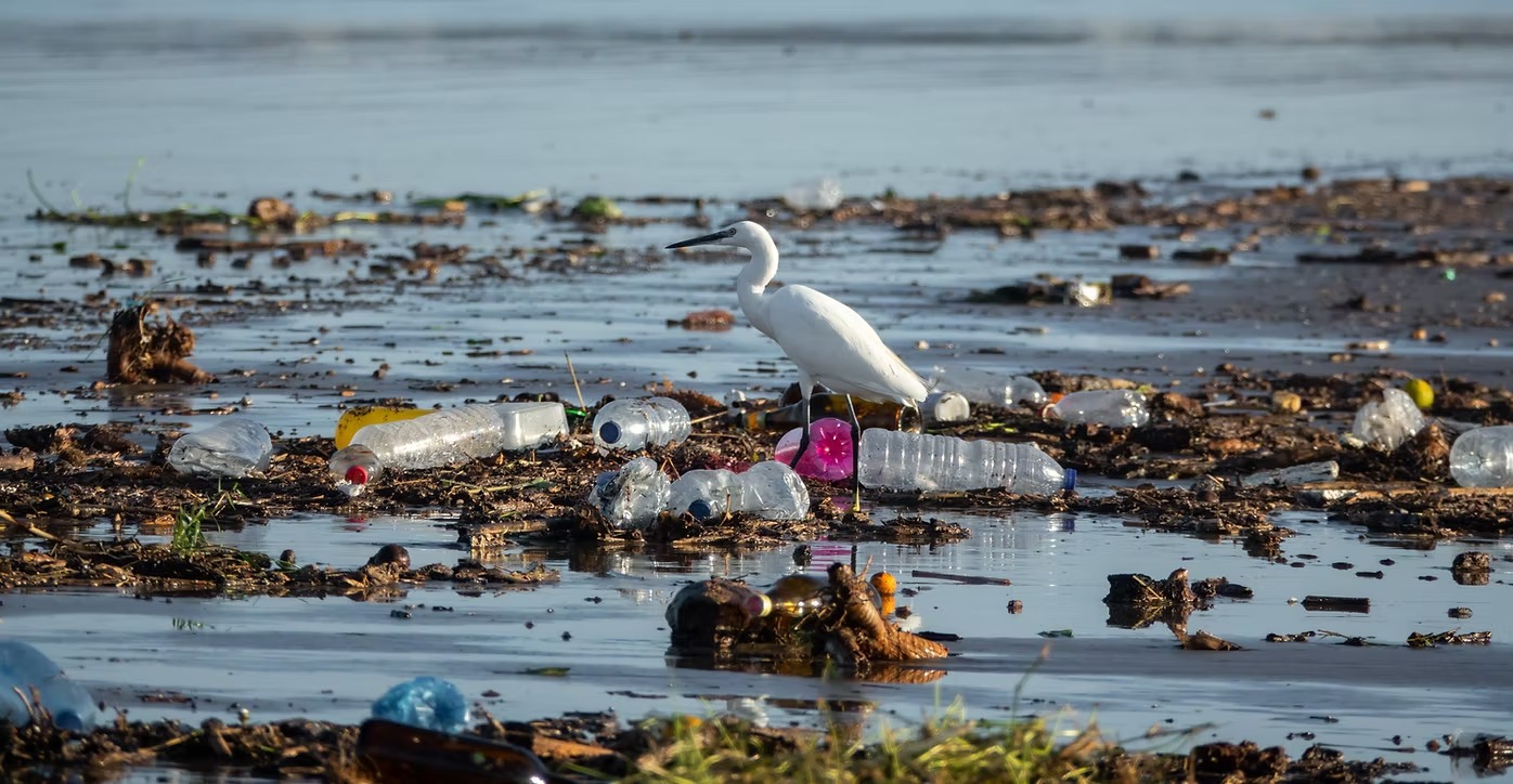 Requisitos Legais na Área Ambiental