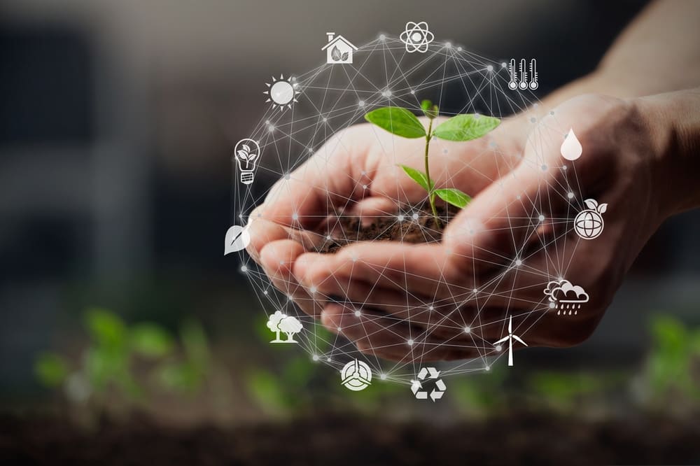 Análise de maturidade do ESG – Agronegócio