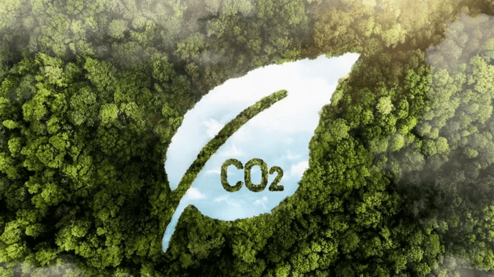 Carbono Lucrativo: Descomplicando o Mercado de Carbono em Agropecuária e Florestas