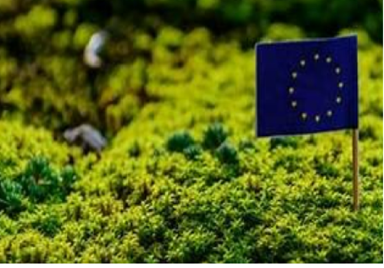 Curso Internacional – Relatórios com as diretivas européias – GRI e CSRD